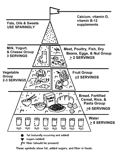 Food%20Guide%20for%20Elderly01.png